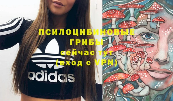 ГАЛЛЮЦИНОГЕННЫЕ ГРИБЫ Алексин