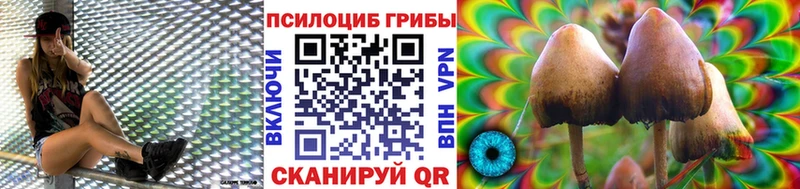 Галлюциногенные грибы Psilocybine cubensis  даркнет сайт  Кувшиново 