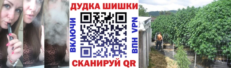 закладка Кувшиново Каннабис Ganja